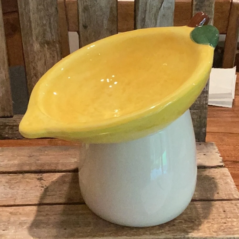 Lemon Pet Bowl